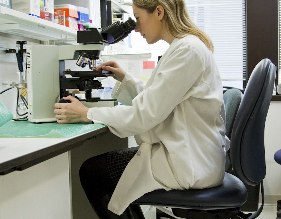 Researcher using a laboratory microscope